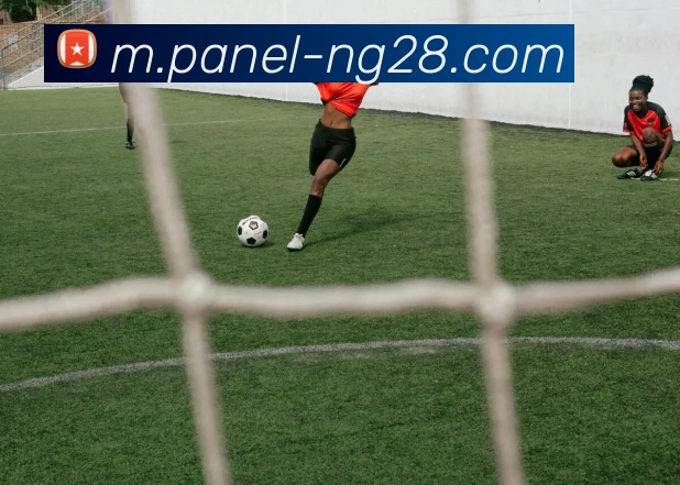 南宫28服务体系